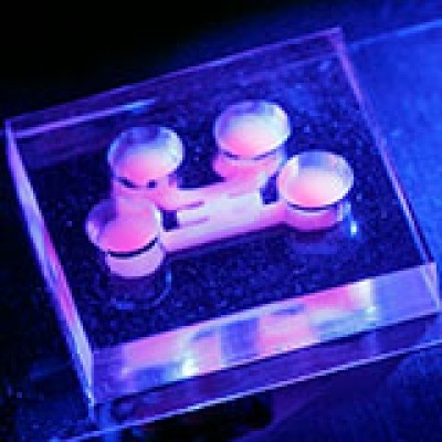 Tissue chip